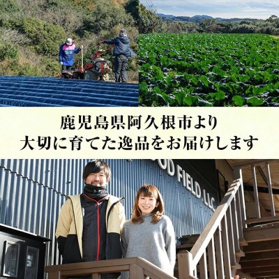 《思いやり型返礼品》鹿児島県産 紅はるか使用!焼き干し芋 計800g a-12-107-z