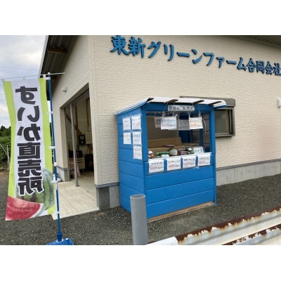 南国グリーンメロン　2Lサイズ/2個入り
