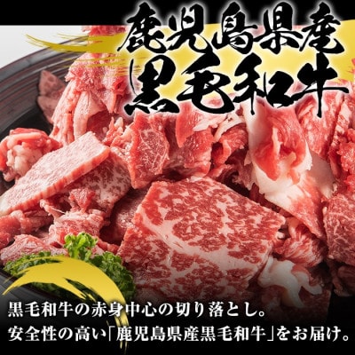 鹿児島県産 黒毛和牛 切り落とし 計1kg(500g×2パック)(阿久根市) akn042-13