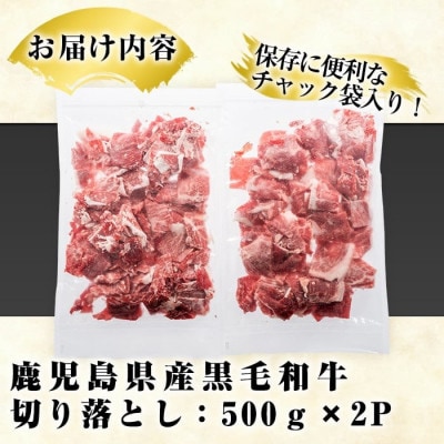 鹿児島県産 黒毛和牛 切り落とし 計1kg(500g×2パック)(阿久根市) akn042-13