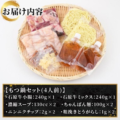 石原牛特製もつ鍋ミックスセット(2人前×2 計4人前)【株式会社石原PRO】22-24
