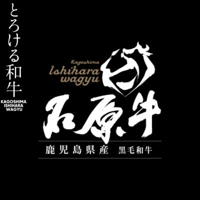 石原牛特製もつ鍋ミックスセット(2人前×2 計4人前)【株式会社石原PRO】22-24