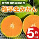 【先行予約2025年9月上旬～発送】極早生みかん 5kg 【古田果樹園】akn093-06