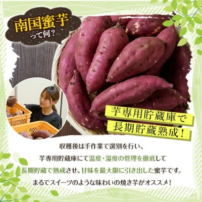 訳あり!数量限定!熟成芋「南国蜜芋」(2Lサイズ/5kg)紅はるか【うとさんち】