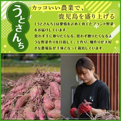 訳あり!数量限定!熟成芋「南国蜜芋」(2Lサイズ/5kg)紅はるか【うとさんち】