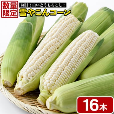 【先行予約】数量限定!極甘!白いとうもろこし「雪やこんコーン」16本【うとさんち】