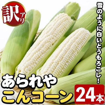 【先行予約】訳あり!白いとうもろこし「あられやこんコーン」24本【うとさんち】a-20-32-z