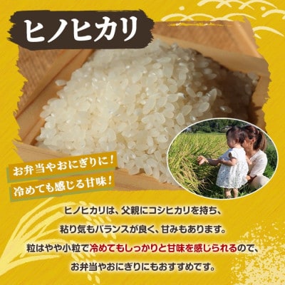【数量限定】うとさんちの「ヒノヒカリ」精米 10kg【うとさんち】akn067-20