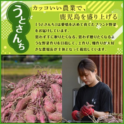 訳あり!数量限定!熟成芋「南国蜜芋」紅はるか M〜Lサイズ 計5kg【うとさんち】akn067-02