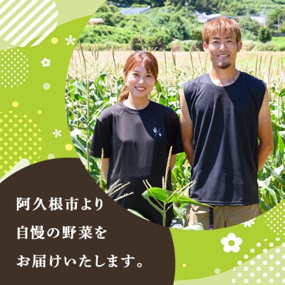 ヤングコーン (20本) 国産 野菜 鹿児島県 阿久根市産　akn067-17