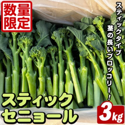 スティックセニョール (3kg) 鹿児島県 阿久根市産 ブロッコリー