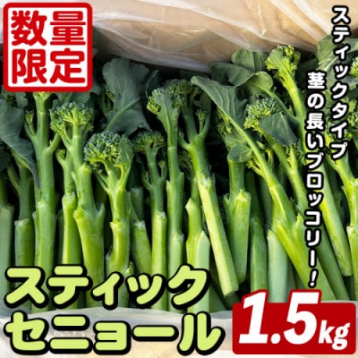 スティックセニョール (1.5kg)  鹿児島県 阿久根市産 ブロッコリー