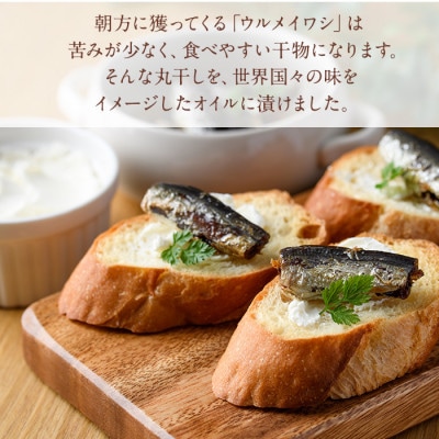 旅する丸干しスタンドパック4種セット(75g×4袋)【下園薩男商店】a-10-8