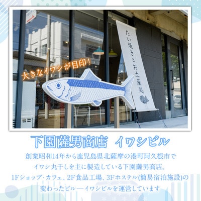 焼ウルメ丸干し10袋セット(20g×10袋)【下園薩男商店】a-16-38