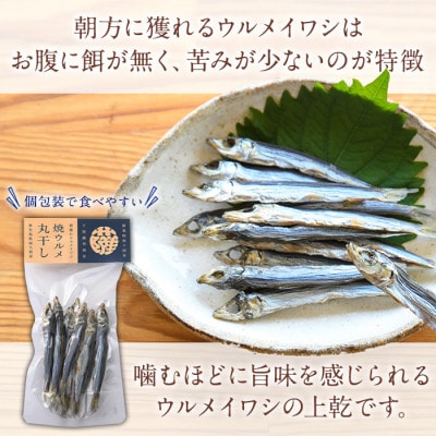 焼ウルメ丸干し10袋セット(20g×10袋)【下園薩男商店】a-16-38