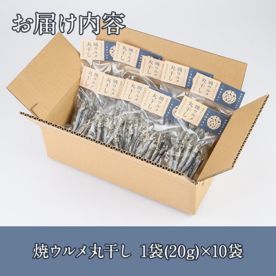 焼ウルメ丸干し10袋セット(20g×10袋)【下園薩男商店】a-16-38