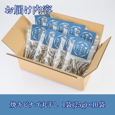 焼キビナゴ丸干し10袋セット(25g×10袋)【下園薩男商店】a-16-39