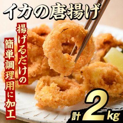 イカの唐揚げ 計2kg 【グローバルフーズ】akn061-20
