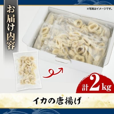 イカの唐揚げ 計2kg 【グローバルフーズ】akn061-20