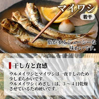 数量限定! 阿久根市産 イワシ丸干し 3点セット(合計約100尾) 【鈴木海産】akn091-01
