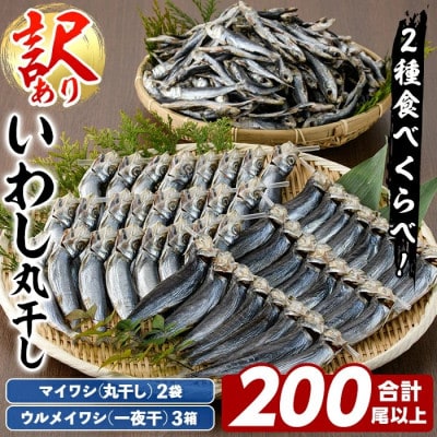 訳あり! 阿久根市産 真イワシ 丸干しセット 計約200尾【鈴木海産】akn091-03