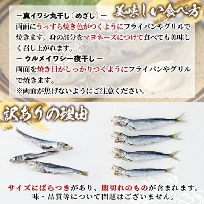 訳あり! 阿久根市産 真イワシ 丸干しセット 計約200尾【鈴木海産】akn091-03