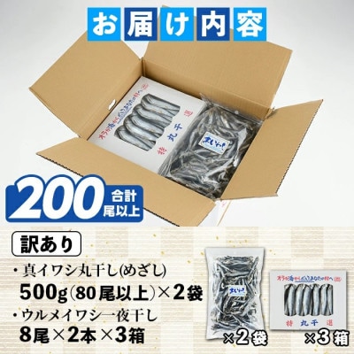 訳あり! 阿久根市産 真イワシ 丸干しセット 計約200尾【鈴木海産】akn091-03