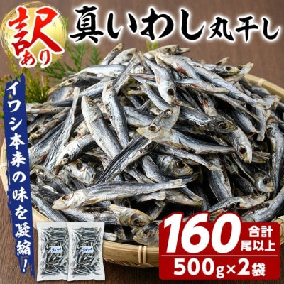 訳あり! 阿久根市産 真イワシ 丸干し<めざし> 計約160尾 【鈴木海産】akn091-02