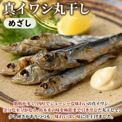 訳あり! 阿久根市産 真イワシ 丸干し<めざし> 計約160尾 【鈴木海産】akn091-02