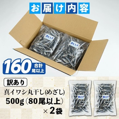 訳あり! 阿久根市産 真イワシ 丸干し<めざし> 計約160尾 【鈴木海産】akn091-02