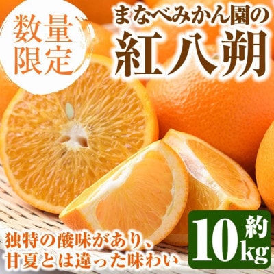 【先行予約受付中!】まなべみかん園の紅八朔 (約10kg) 【まなべみかん園】akn034-05
