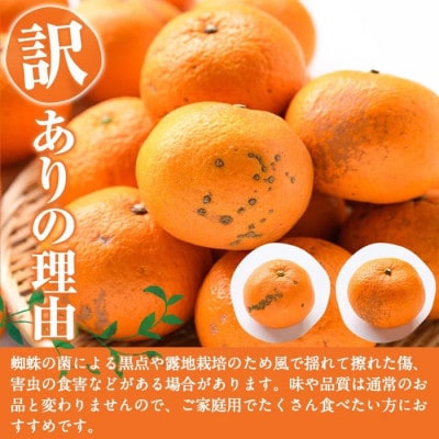 【先行予約受付中!】 訳あり! 紅甘夏 (約20kg)【桐野柑橘】akn070-09