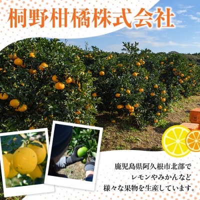 【先行予約受付中!】 数量限定 紅甘夏 (約10kg)【桐野柑橘】akn070-08