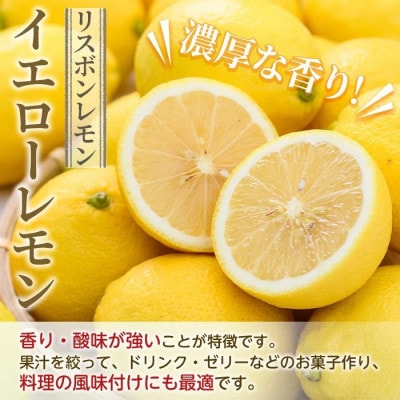 先行予約! 数量限定! リスボンイエローレモン 約5kg【桐野柑橘】akn070-15