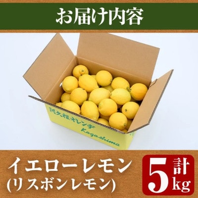 先行予約! 数量限定! リスボンイエローレモン 約5kg【桐野柑橘】akn070-15
