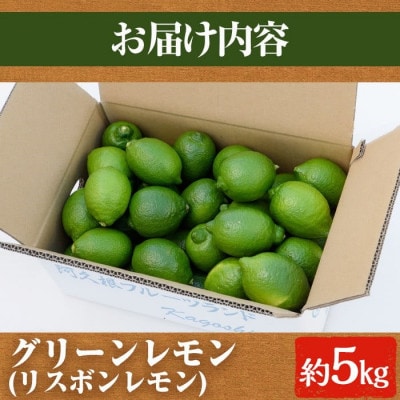 先行予約! 数量限定! リスボングリーンレモン 約5kg【桐野柑橘】akn070-14