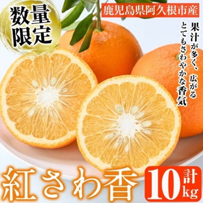 【先行予約受付中!】 数量限定 紅さわ香 約10kg 【桐野柑橘】akn070-03