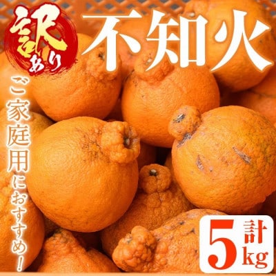 先行予約!【訳あり・数量限定】無加温ハウス 不知火 約5kg 【桐野柑橘】akn070-12