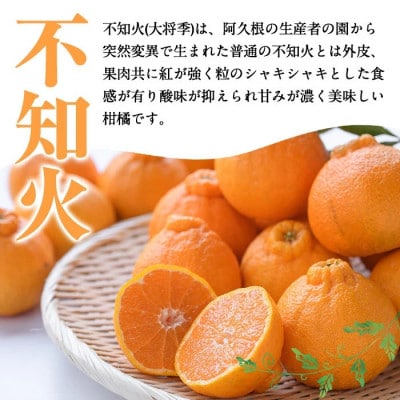 先行予約!【訳あり・数量限定】無加温ハウス 不知火 約5kg 【桐野柑橘】akn070-12