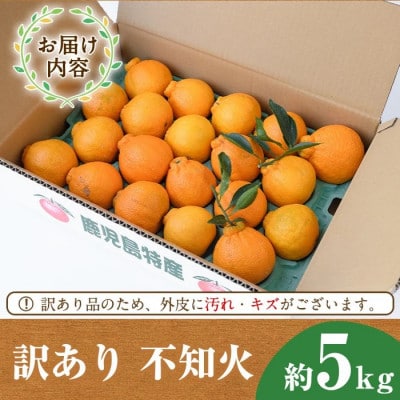先行予約!【訳あり・数量限定】無加温ハウス 不知火 約5kg 【桐野柑橘】akn070-12