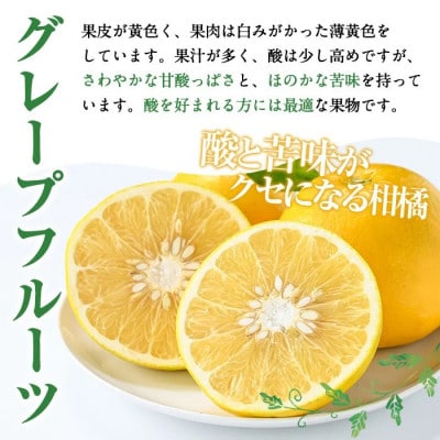 先行予約!数量限定! グレープフルーツ 約4kg【桐野柑橘】akn070-04