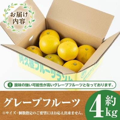 先行予約!数量限定! グレープフルーツ 約4kg【桐野柑橘】akn070-04