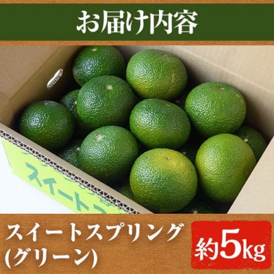 先行予約!数量限定! スイートスプリング (グリーン) 約5kg【桐野柑橘】akn070-05