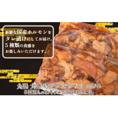 国産 ホルモン ミックス タレ 漬け 1kg FI006