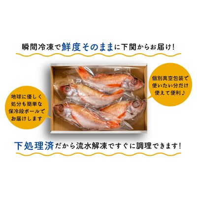 のどぐろ 中 サイズ 4尾 高級 魚 鮮魚 冷凍 アカムツ 下処理 済 下関 EY002_1