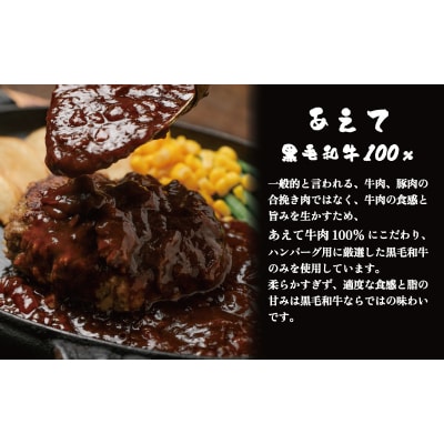 ハンバーグ 180g × 4個 720g 国産黒毛和牛100% HW001