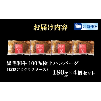 ハンバーグ 180g × 4個 720g 国産黒毛和牛100% HW001