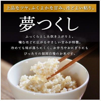 【令和7年産 新米先行受付】福岡県産 夢つくし【千づ乃しずく】10kg(5kg×2袋) 玄米
