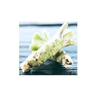 わさび香る飛騨牛生ハンバーグ　　120g×5個