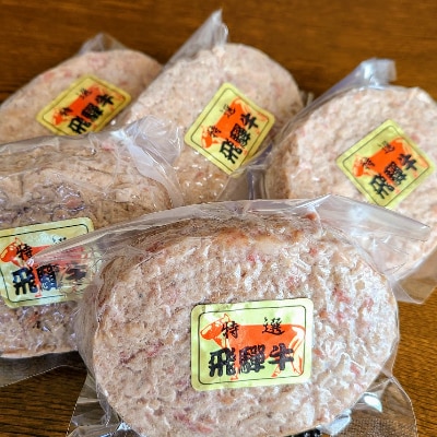 飛騨牛100%生ハンバーグ　120g×5個